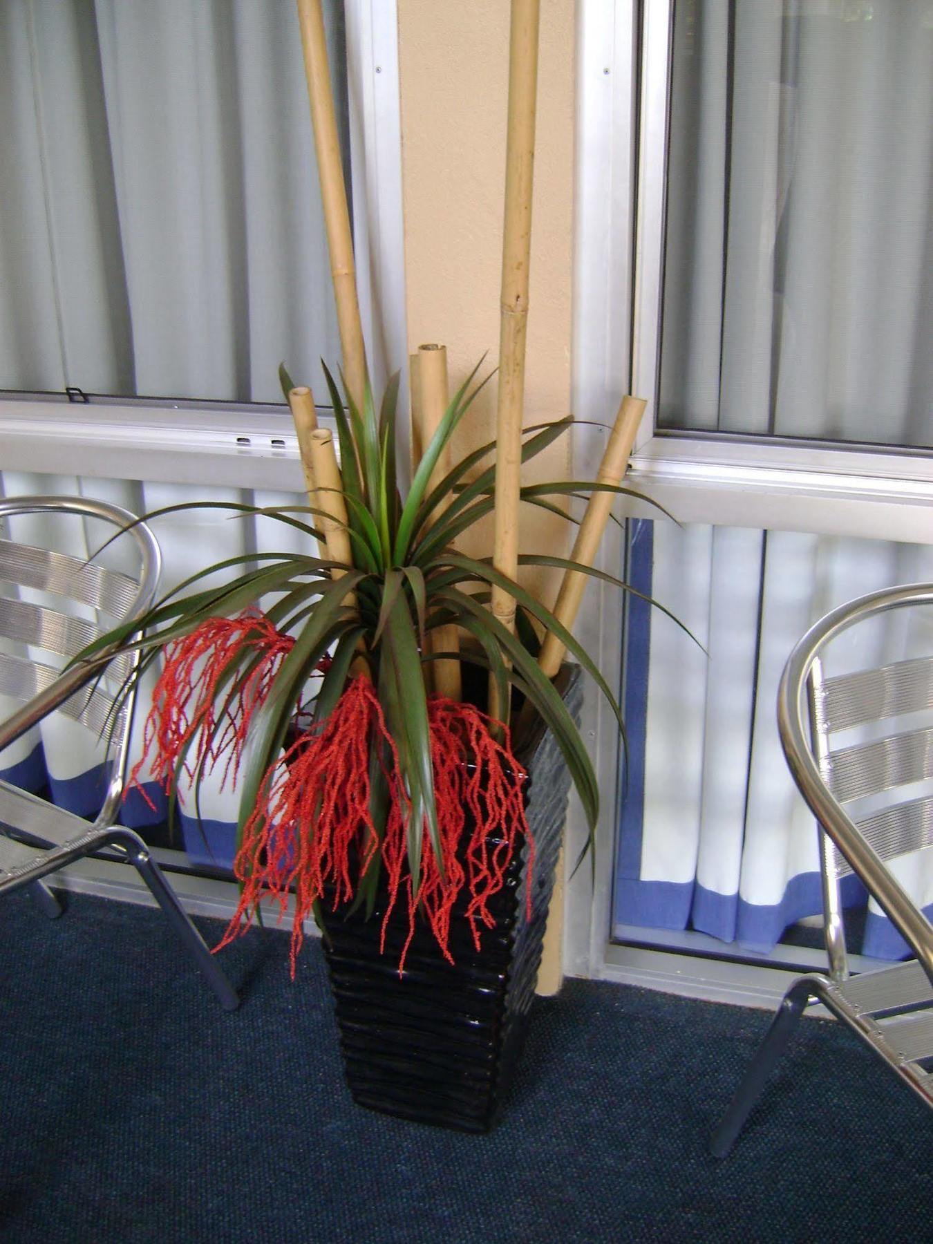 Rockhampton Court Motor Inn Εξωτερικό φωτογραφία